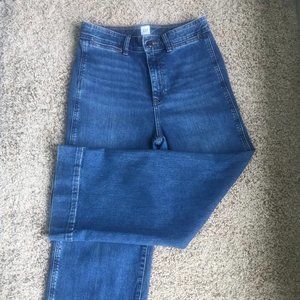 GAP High Rise Wide Leg Crop Jeans